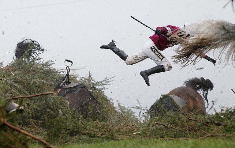 Grand National Steeplechase фотографа Tom Jenkins занявшего первое место в категории Спорт в фотоконкурсе World Press Photo