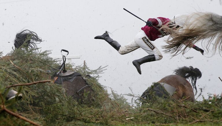 Grand National Steeplechase фотографа Tom Jenkins занявшего первое место в категории Спорт в фотоконкурсе World Press Photo