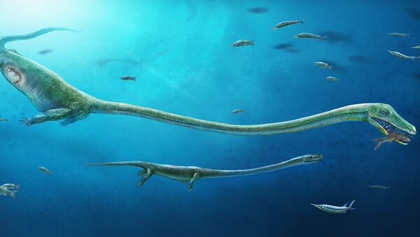 Дицефалозавр, живородящая морская рептилия из юрского периода