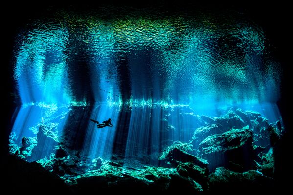 Работа фотографа из Великобритании Nick Blake Out of the Blue для конкурса 2017 Underwater Photographer of the Year, занявшее 2 место