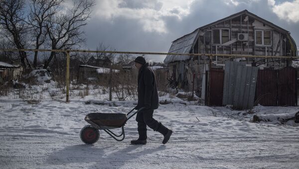 Житель села Веселое Донецкой области