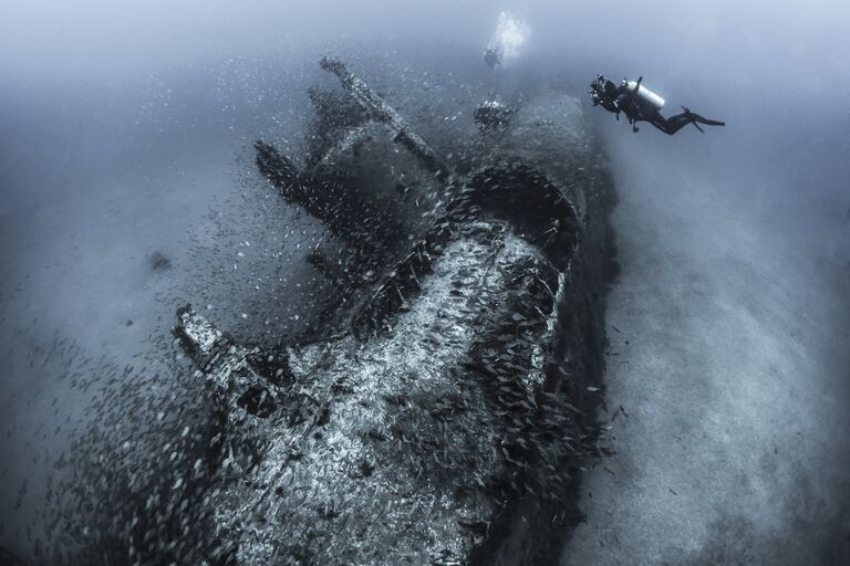 Работа фотографа из США Tanya Houppermans Capturing History для конкурса 2017 Underwater Photographer of the Year