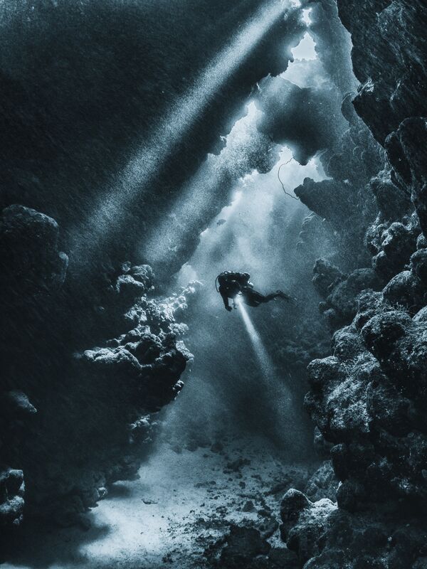 Работа фотографа из Великобритании Mario Vitalini Sun shine after the storm для конкурса 2017 Underwater Photographer of the Year