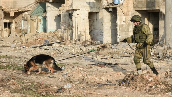 Военный инженер сводного отряда Международного противоминного центра Вооруженных сил РФ во время работы по разминированию восточных районов сирийского города Алеппо