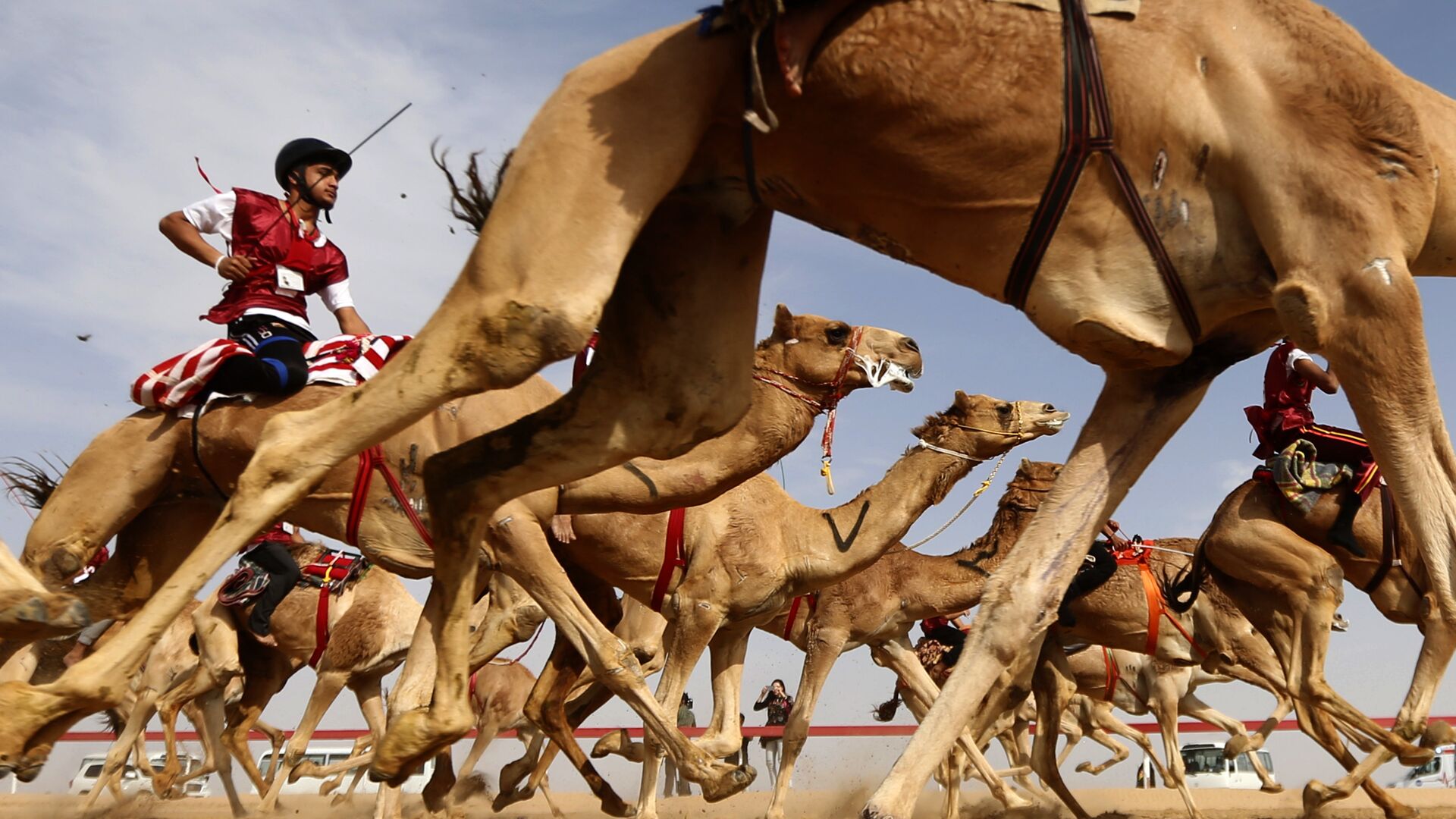 Традиционные верблюжьи бега во время фестиваля верблюдов на окраине Абу-Даби, ОАЭ - РИА Новости, 1920, 17.12.2020