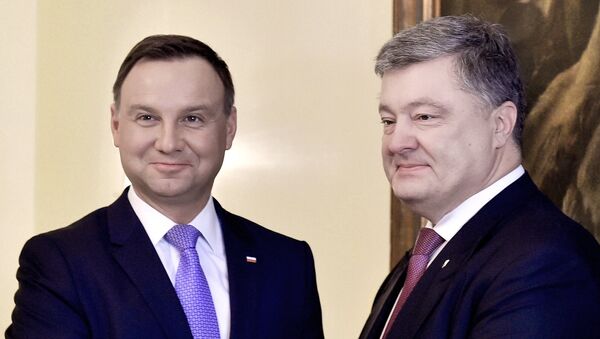 Встреча президентов Украины и Польши П.Порошенко и Анджей Дуда. Архивное фото