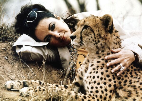 Актриса Элизабет Тейлор посетила национальный парк Крюгера. Африка, 1975