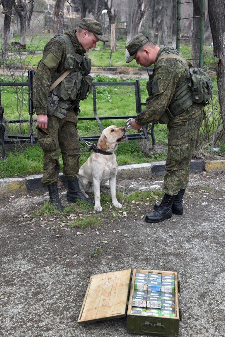 Российские военные инженеры Международного противоминного центра Вооруженных Сил РФ в Алеппо