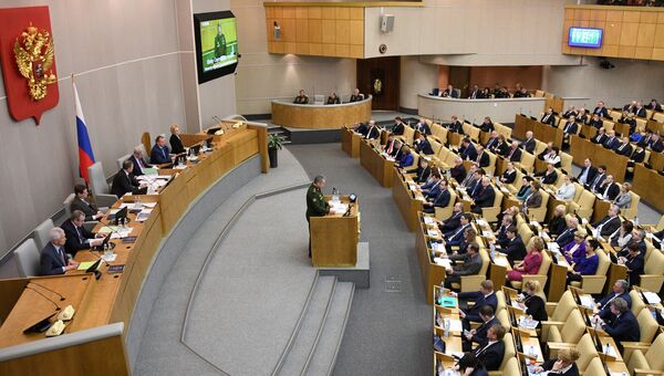 Министр обороны РФ Сергей Шойгу выступает на пленарном заседании Госдумы РФ. 22 февраля 2017