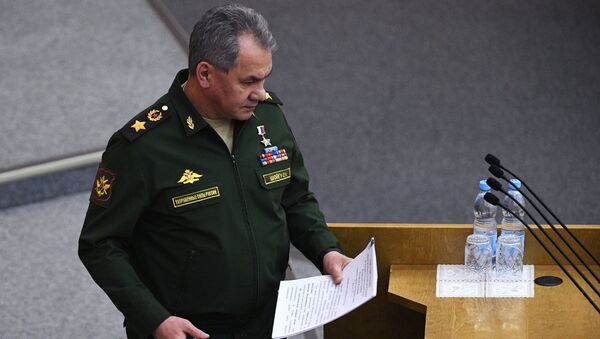 Министр обороны РФ Сергей Шойгу на пленарном заседании Госдумы РФ. 22 февраля 2017