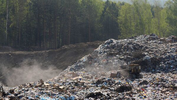 В Алтайском крае ликвидировали незаконную свалку отходов