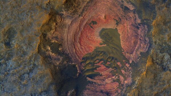НАСА показало на фото сердце Марса