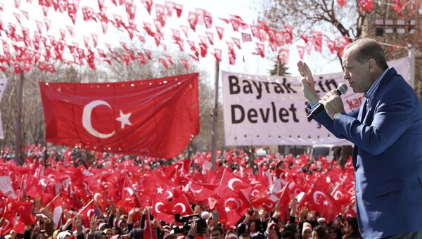 Президент Турции Тайип Эрдоган во время встречи со своими сторонниками в преддверии референдума о расширении полномочий президента. 19 февраля 2017