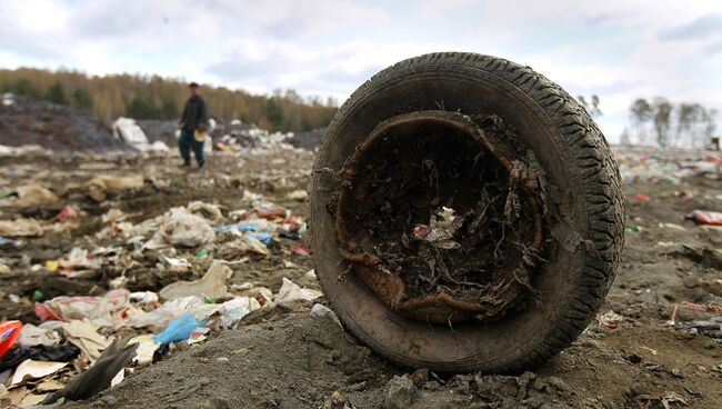 В Подмосковье привлекли к ответственности организаторов незаконных свалок