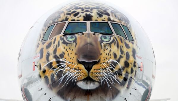 Дальневосточный леопард украсил самолёт “России”
