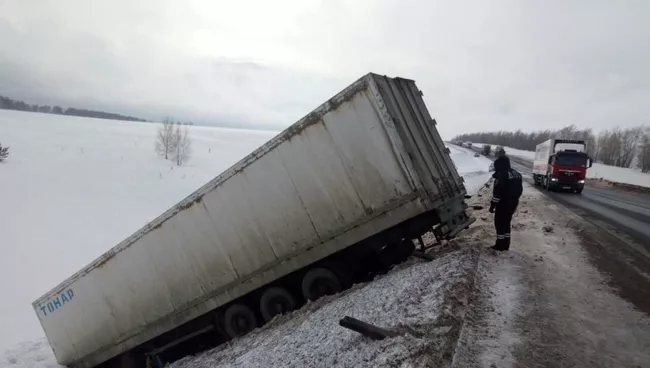 Под Оренбургом в ДТП попал грузовик с тиграми