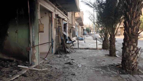 Разрушенные в результате боевых действий дома в жилой части города Пальмира в сирийской провинции Хомс. Архивное фото