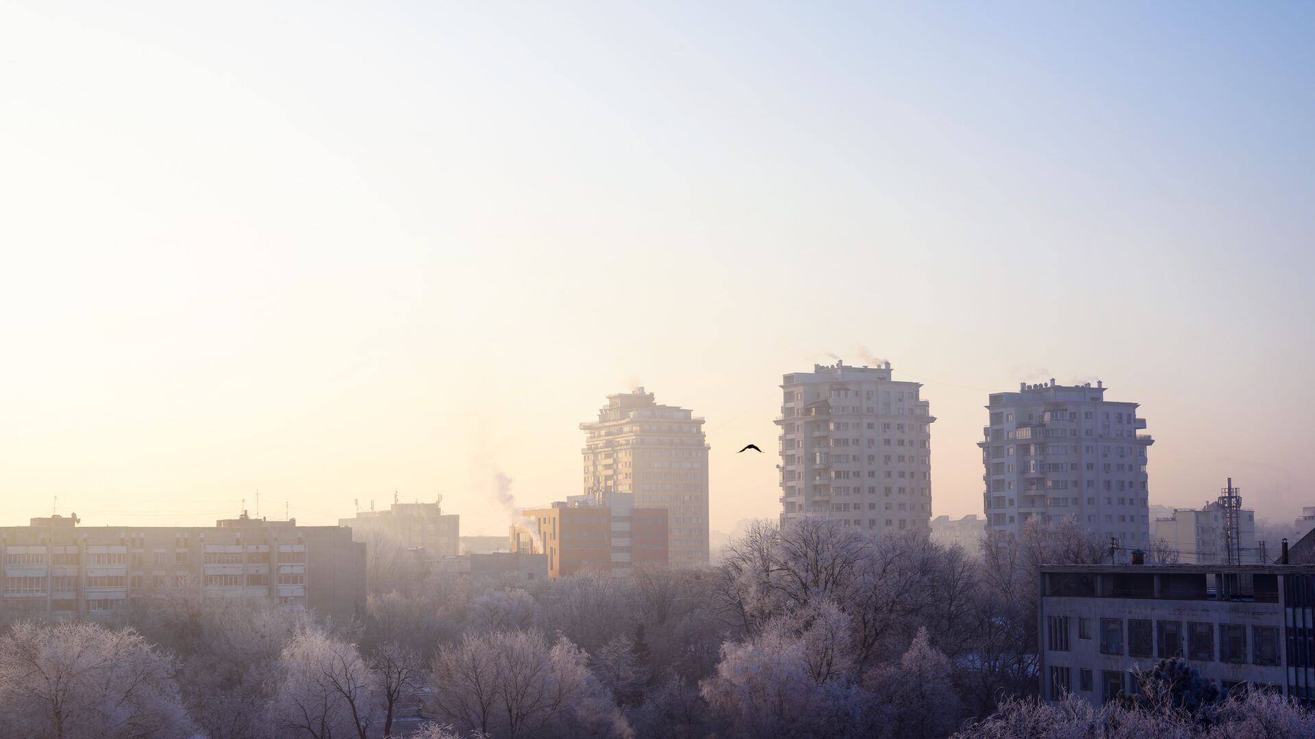 Морозное утро в Кишиневе, Республика Молдова - РИА Новости, 1920, 02.02.2023