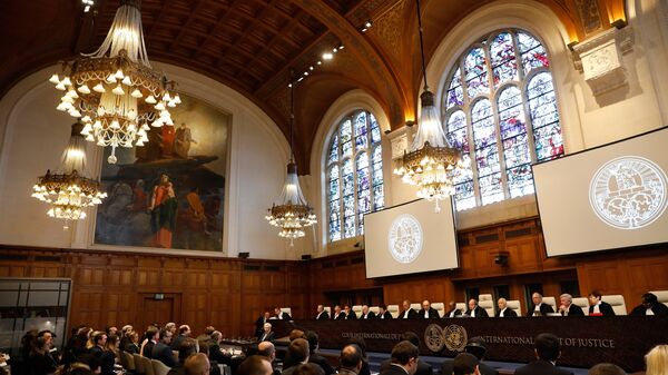 Публичные слушания по иску Украины против Российской Федерации в Международном суде ООН в Гааге, Нидерланды. Архивное фото