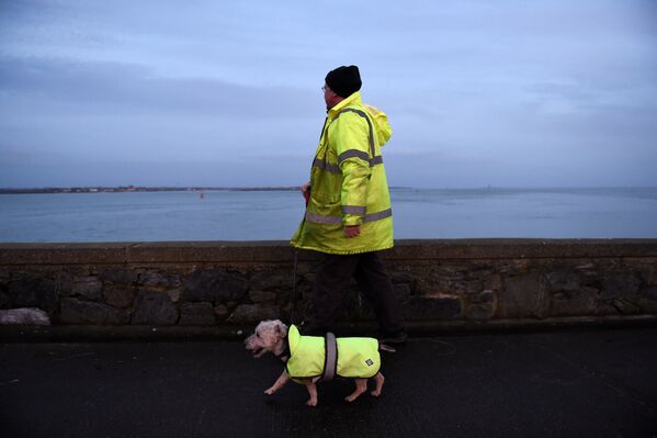 Мужчина гуляет с собакой по берегу Карлингфорд-Лоха, Ирландия