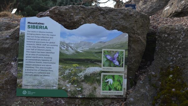 Открытие ботанического сада Сибирская флора в Шотландии