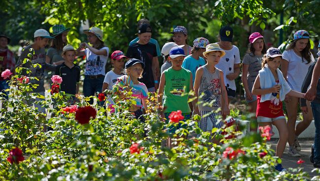 Совфед подготовит нормативные акты к закону о детском отдыхе в России