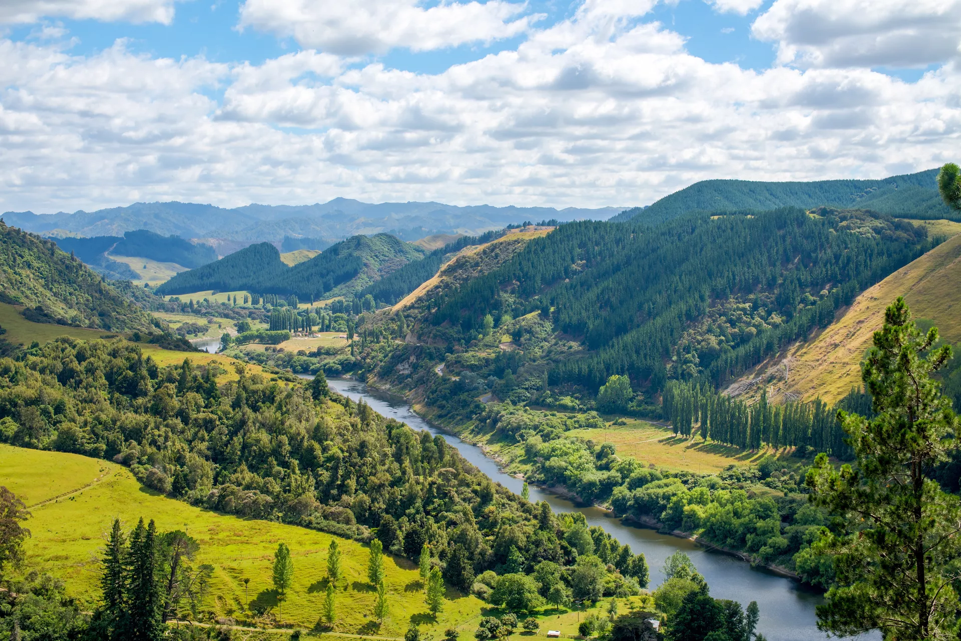 Река Уонгануи в Новой Зеландии - РИА Новости, 1920, 06.10.2023