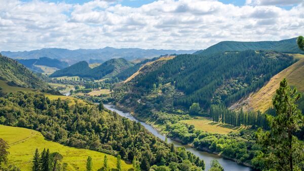Река Уонгануи в Новой Зеландии. Архивное фото
