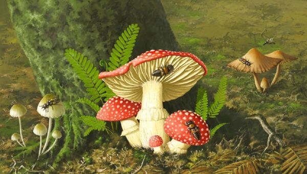 Так художник представил себе грибы эпохи динозавров и поедавших их насекомых