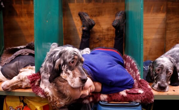 Кейт Маклаулин и ее английский сеттер Топси на выставке собак Crufts в Бирмингеме, Великобритания
