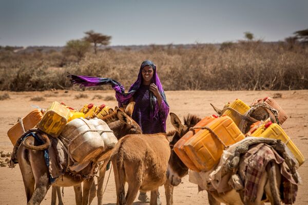 Женщина ведет ослов, навьюченных канистрами для воды, в Сомали