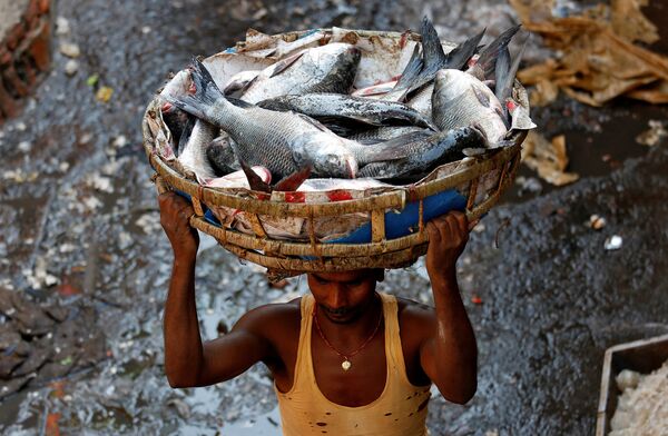 Работник несет корзину с рыбой на оптовом рынке в Индии