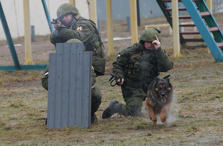 Отработка применения служебных собак в составе подразделений специального назначения на базе кинологического центра Росгвардии