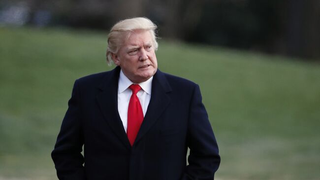 Президент США Дональд Трамп. Архивное фото