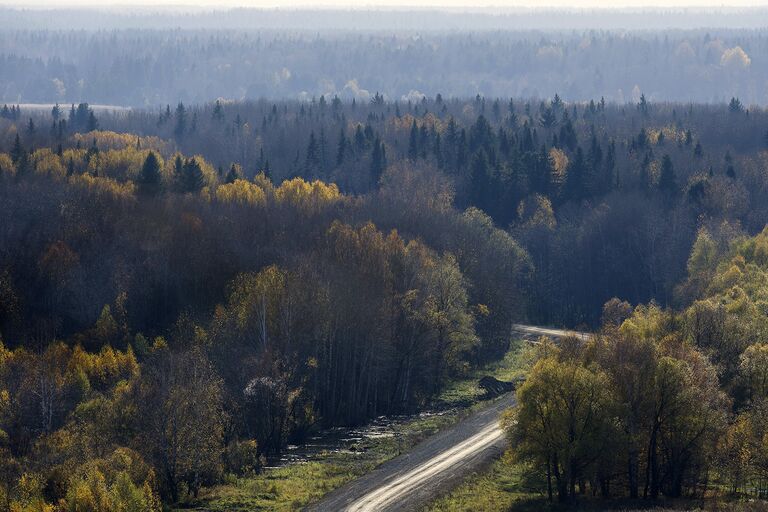 Примерно треть крупнейших мегаполисов планеты получает значительную долю воды с охраняемых территорий, где растут леса Примерно треть крупнейших мегаполисов планеты получает значительную долю воды с охраняемых территорий, где растут леса