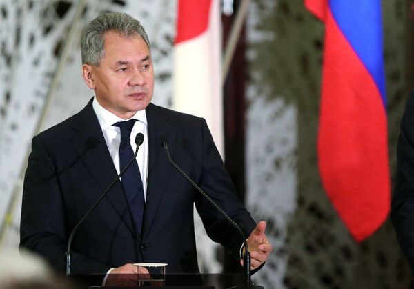 Министр обороны РФ Сергей Шойгу на пресс-конференции по итогам переговоров в формате два плюс два в Токио Министр обороны РФ Сергей Шойгу на пресс-конференции по итогам переговоров в формате два плюс два в Токио