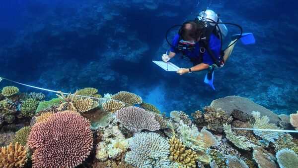 Ученый Эндрю Бейрд изучает здоровые кораллы на Большом барьерном рифе в Австралии