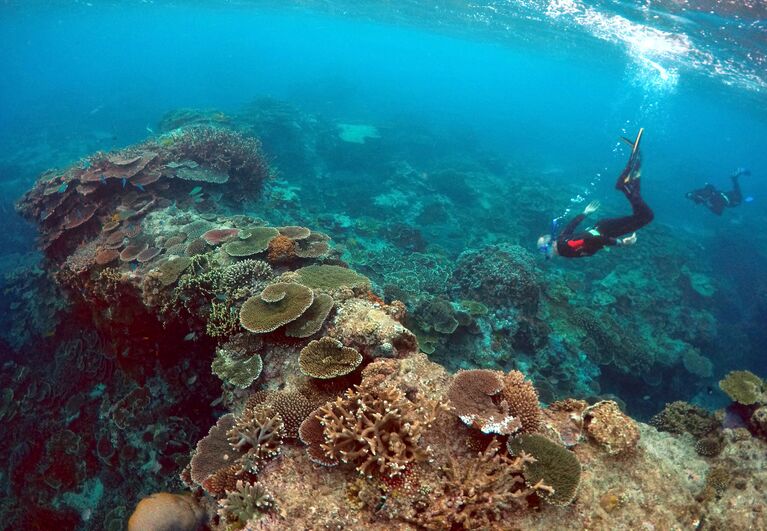 Питер Гаш, владелец и управляющий Lady Elliot Island Eco Resort, во время осмотра Большого Барьерного рифа