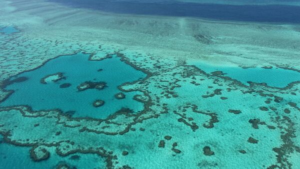 Вид с воздуха на Большой Барьерный риф. Архивное фото