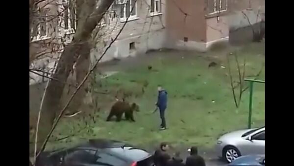 Мужчина выгуливает медведя в Таганроге. Стоп-кадр видео