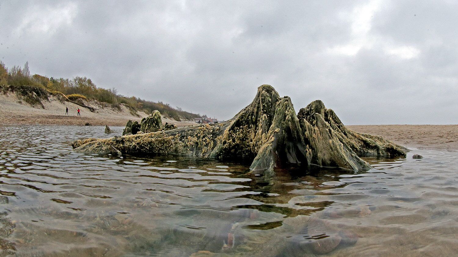 Берег Балтийского моря - РИА Новости, 1920, 07.09.2022