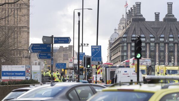 Ситуация на месте теракта у британского парламента. Архивное фото