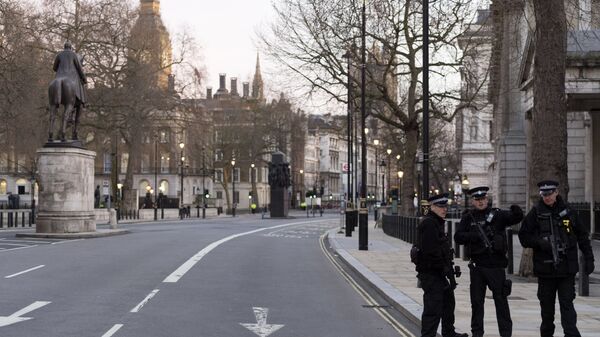 Ситуация на месте теракта у британского парламента. Архивное фото