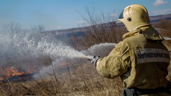 Сотрудники МЧС тушат пожар во время учений в Приморском крае. Архивное фото
