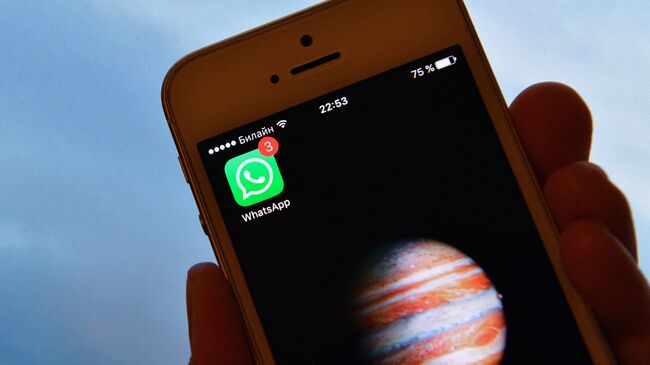Иконка мессенджера WhatsApp на экране смартфона. Архивное фото