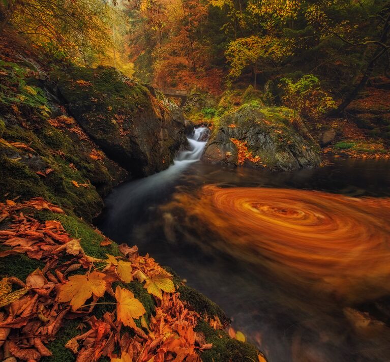 Работа фотографа из Болгарии Ivan Miladinov Old River для 2017 Sony World Photography Awards