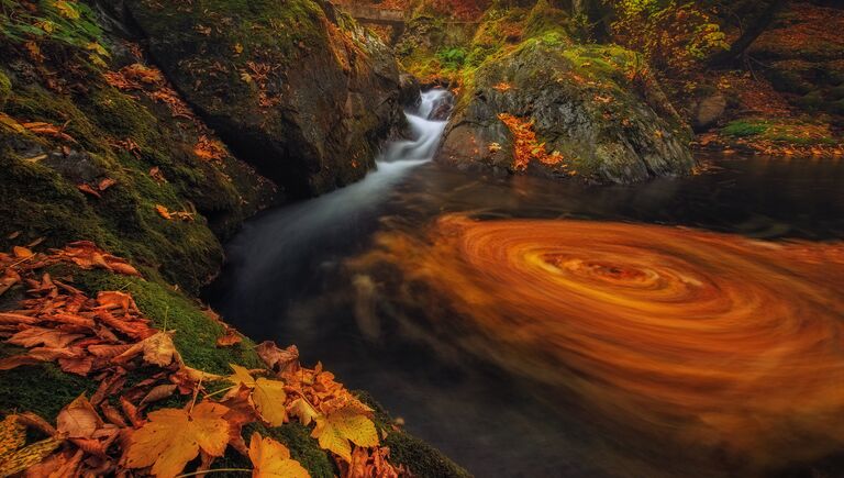 Работа фотографа из Болгарии Ivan Miladinov Old River для 2017 Sony World Photography Awards