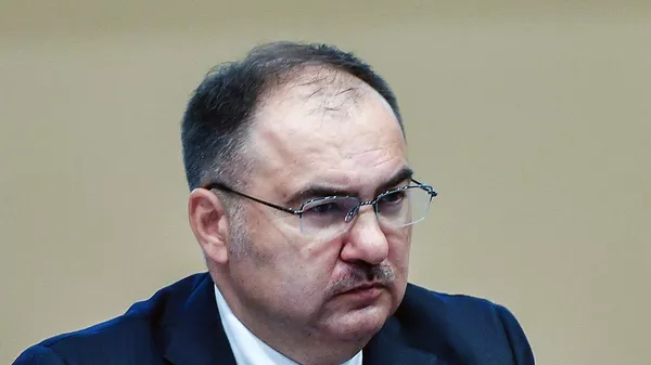Председатель правления Пенсионного фонда РФ Антон Дроздов. Архивное фото