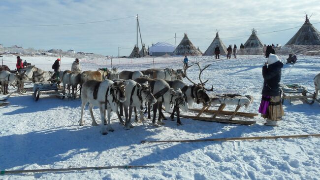 Народы Крайнего Севера. Архивное фото