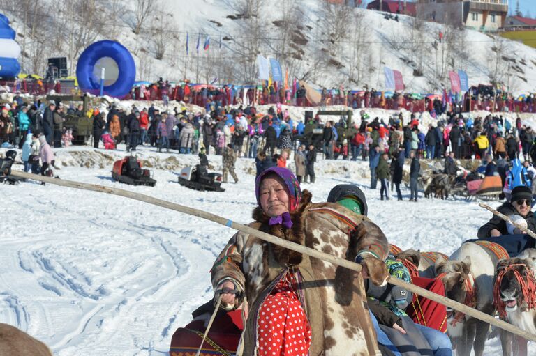 Гонки на оленьих упряжках в Салехарде